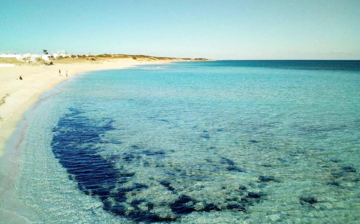 Villa Sole Del Salento A 150M Dal Mare Campomarino  المظهر الخارجي الصورة